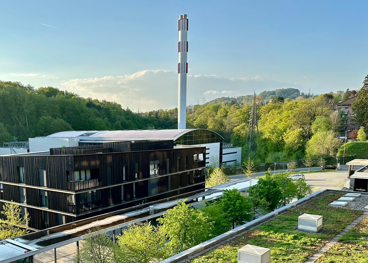 Photo by Daniel Canejo Rodriguez on Unsplash